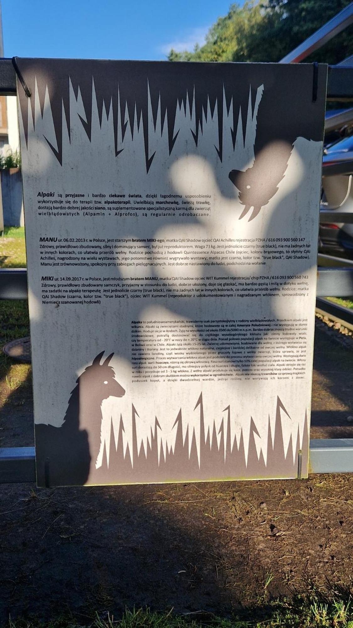 5 Zmyslow Akademia Wypoczynku Domki Grzybowo  Esterno foto